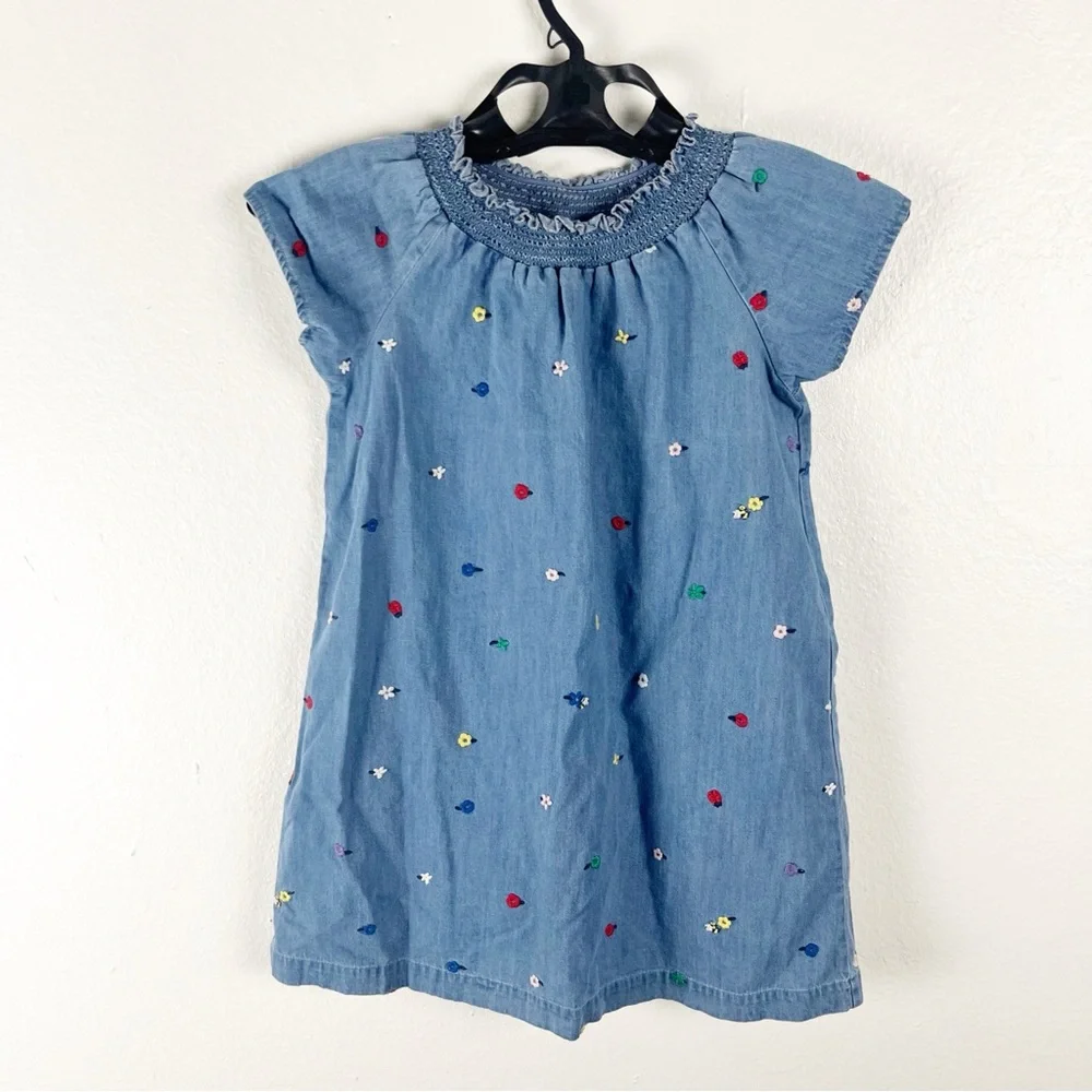HANNA ANDERSSON Girls Springtime Chambry Ruffle Neckline Trim Dress, Size 6-7